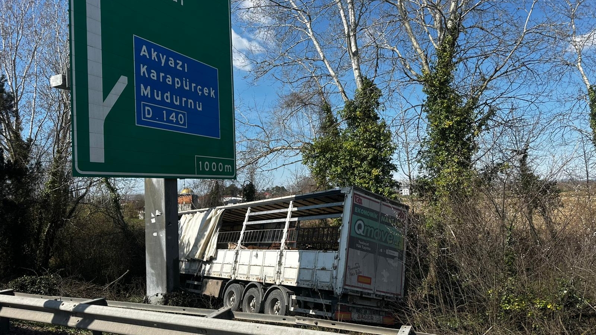 TEM’de kurbanlık taşıyan tır şarampole uçtu