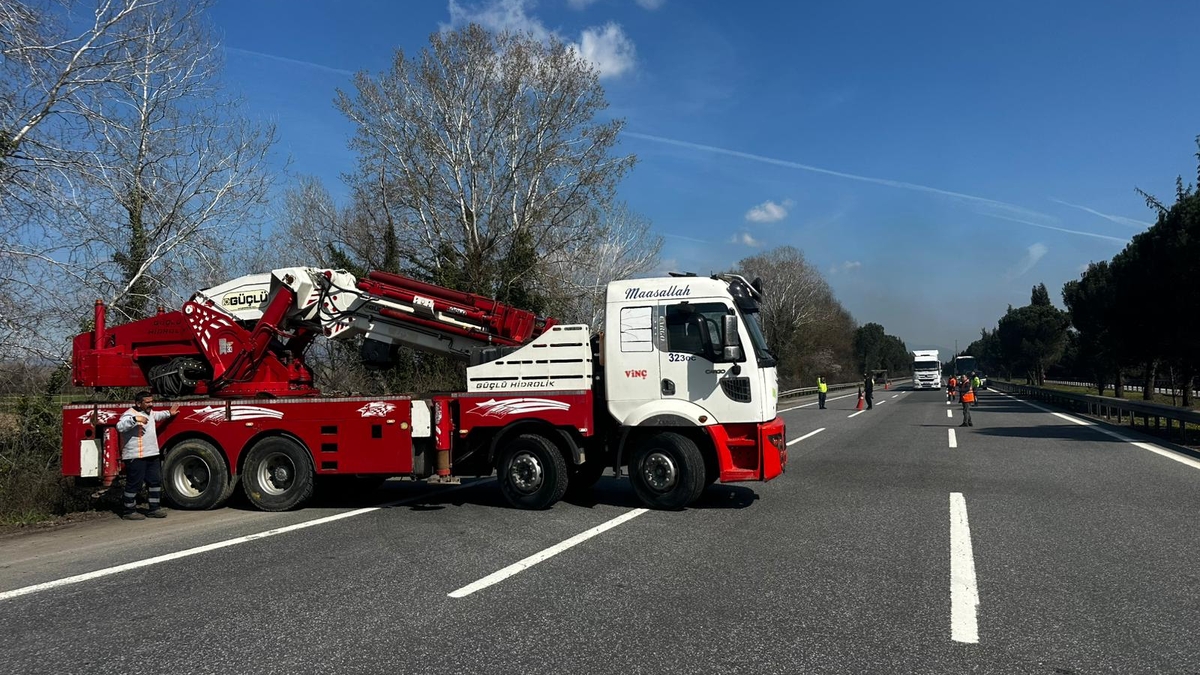 TEM’de kurbanlık taşıyan tır şarampole uçtu
