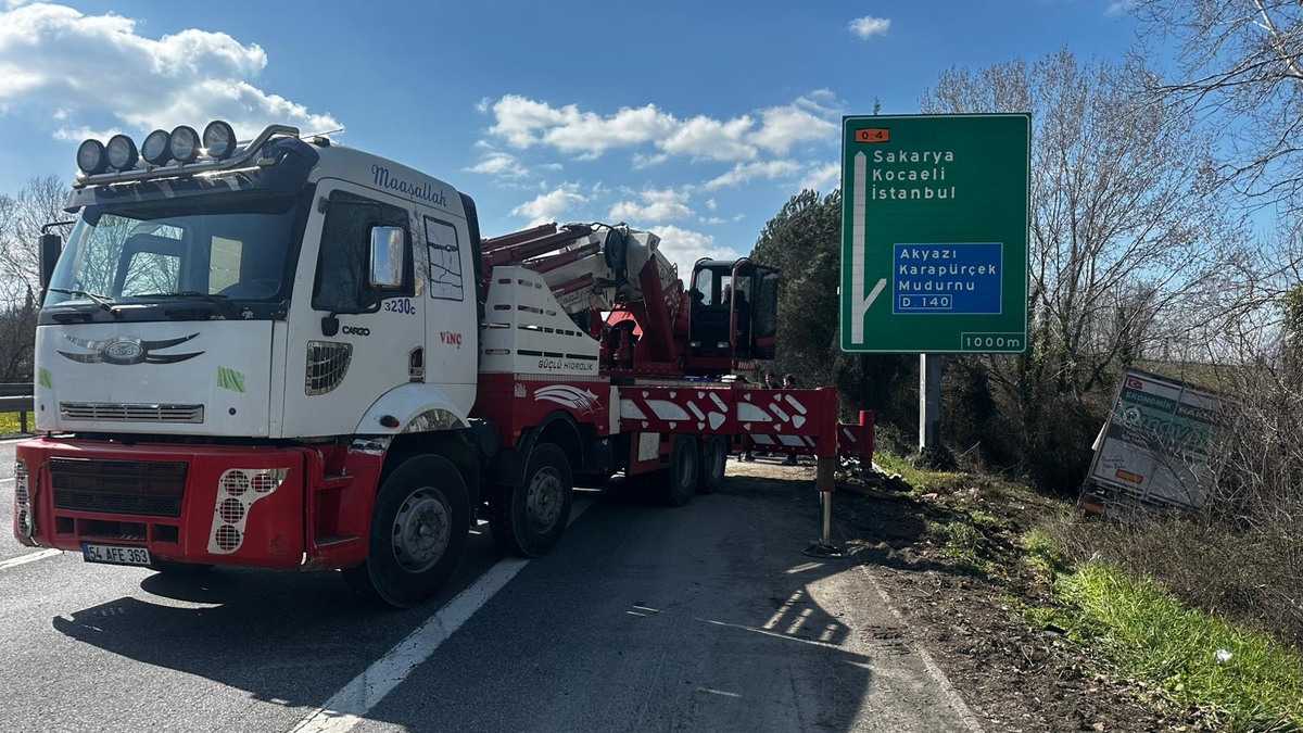 TEM’de kurbanlık taşıyan tır şarampole uçtu