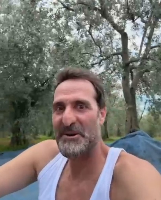 Timur Acar satın aldığı zeytinlikte ilk hasadını yaptı