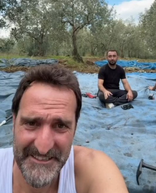 Timur Acar satın aldığı zeytinlikte ilk hasadını yaptı