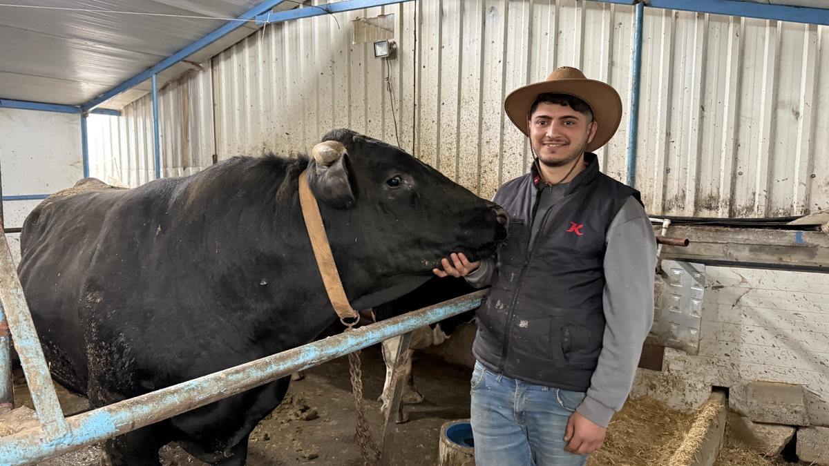 Tonluk kurbanlıkların besisi özel!