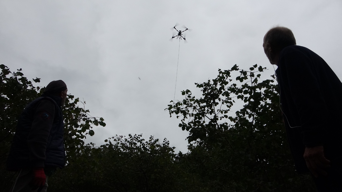 Toplanan fındık harmana dron ile taşınıyor