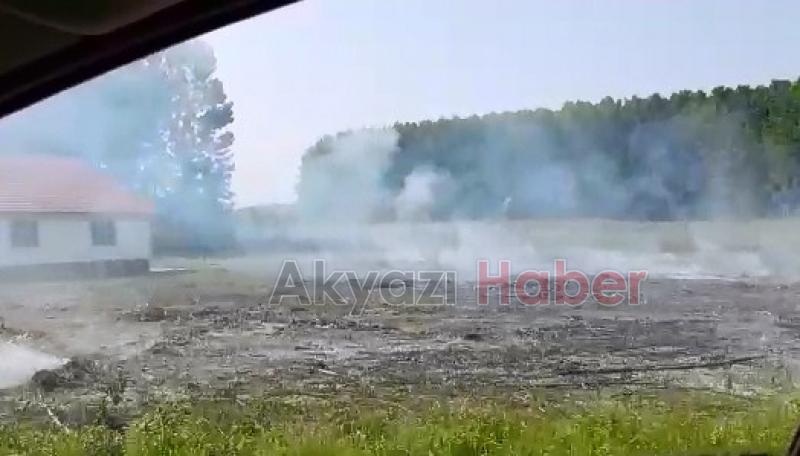 Toprağı anız yakarak öldürüyoruz