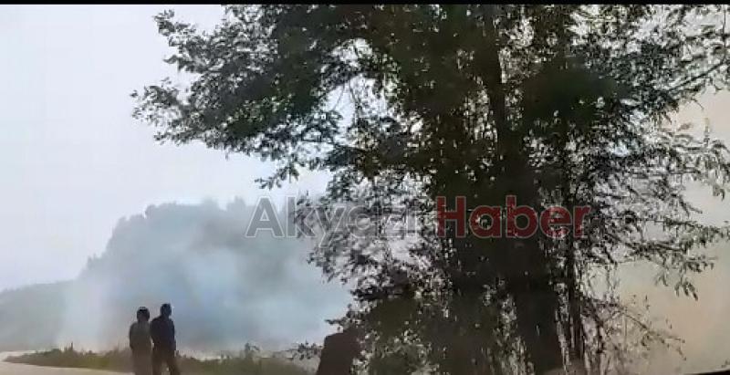 Toprağı anız yakarak öldürüyoruz