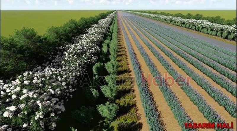 Toprağın altından su, üstünden bal akacak