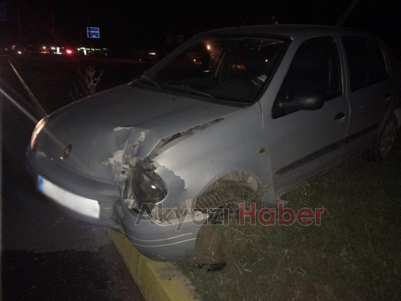 Trafik Kazası Otomobil Yoldan Çıktı