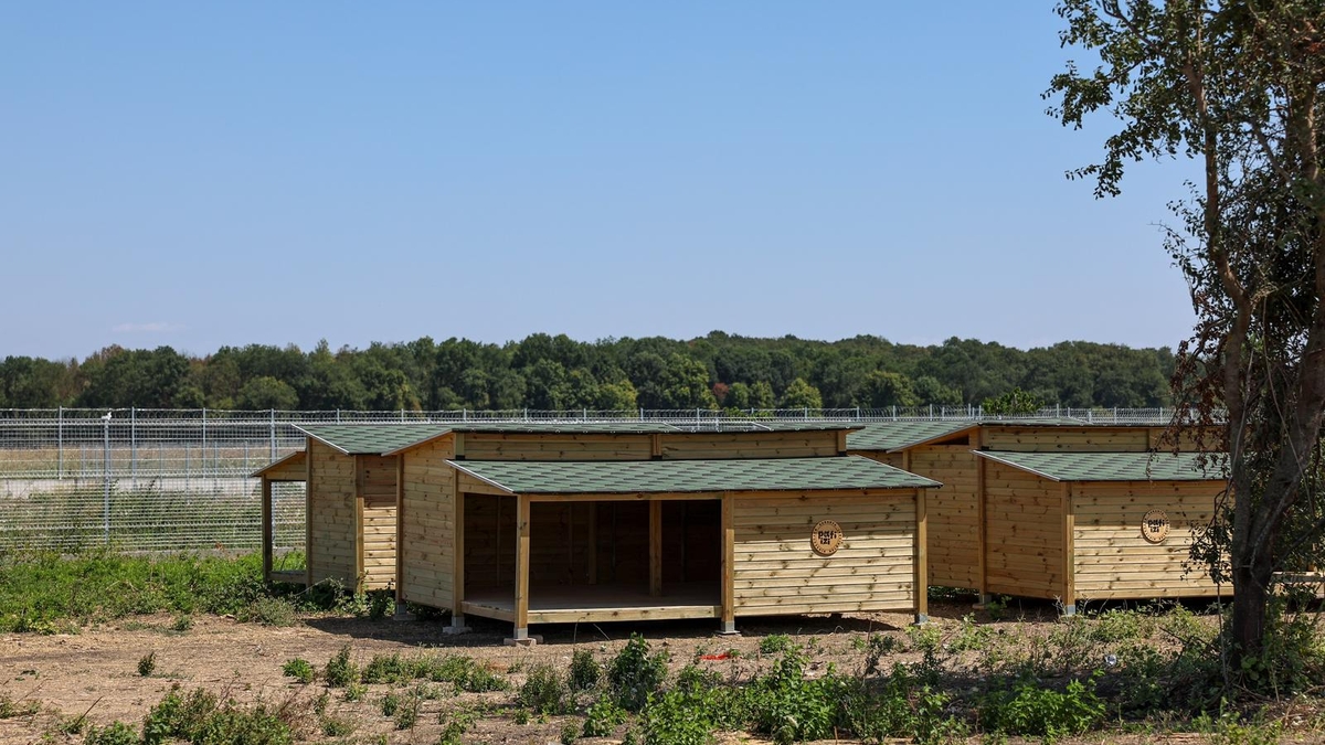 Türkiye’nin en modern hayvan doğal yaşam alanı Sakarya'da