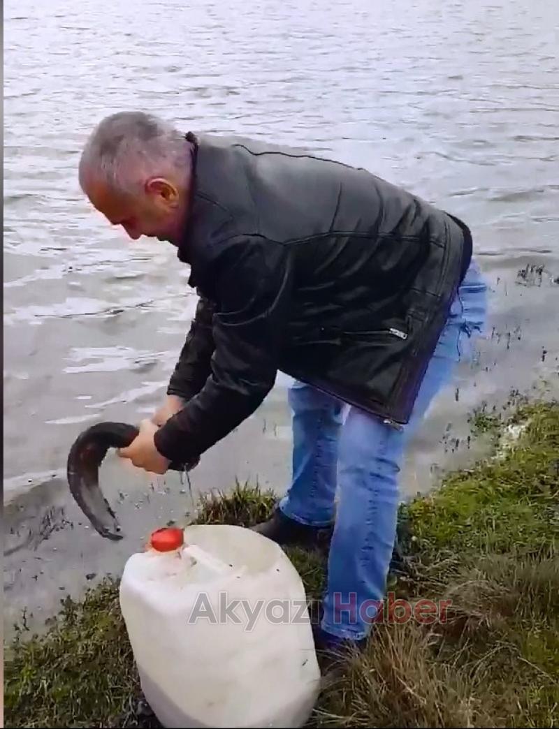 Tuttuğu Balıkları Göle Bıraktı