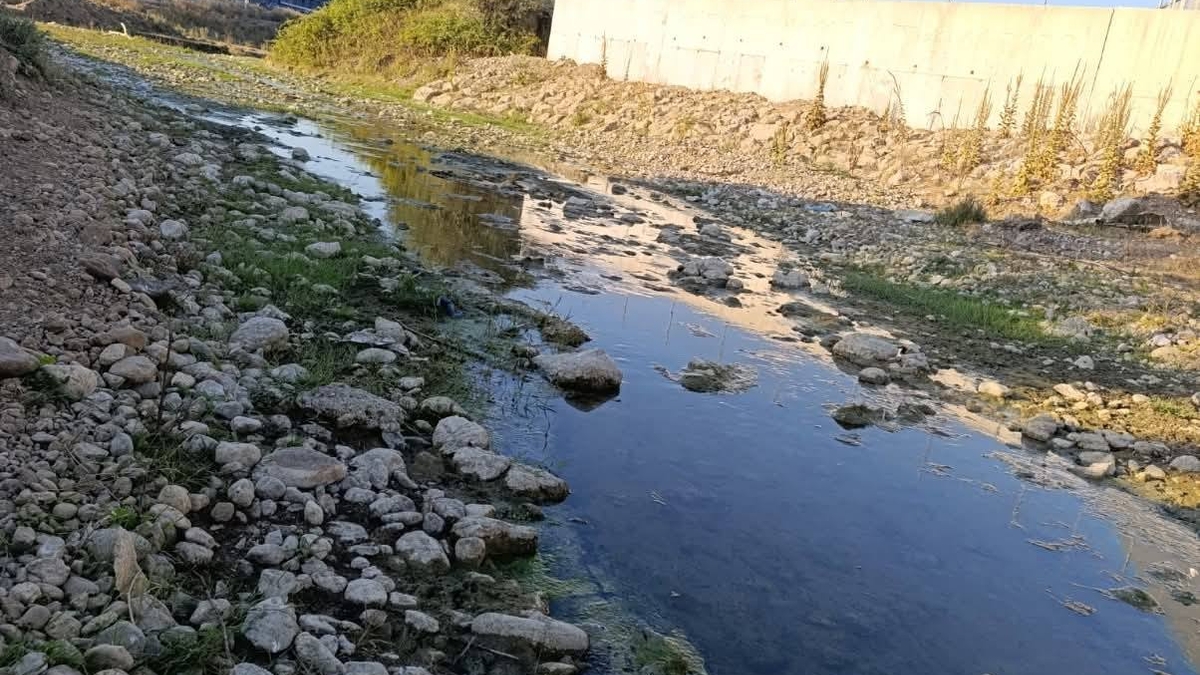 TZOB Başkanı Bayraktar'dan Küçücek Deresi'nde inceleme