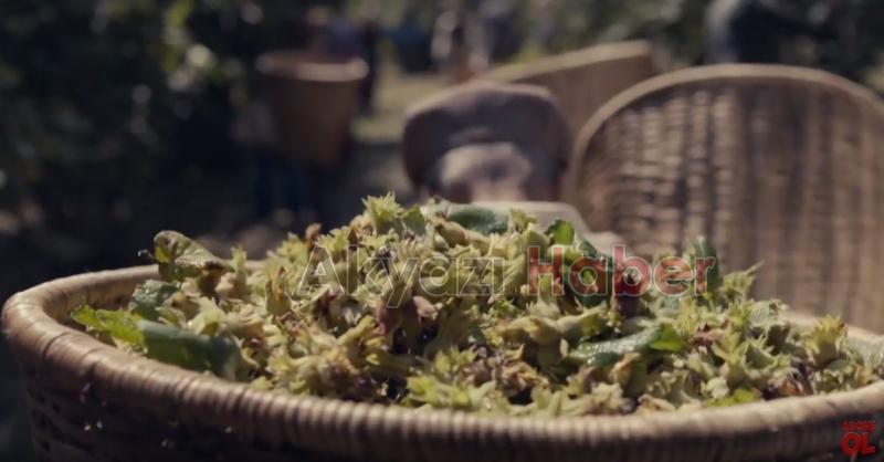 Ünlü firma Reklam çekimi için Akyazıyı seçti