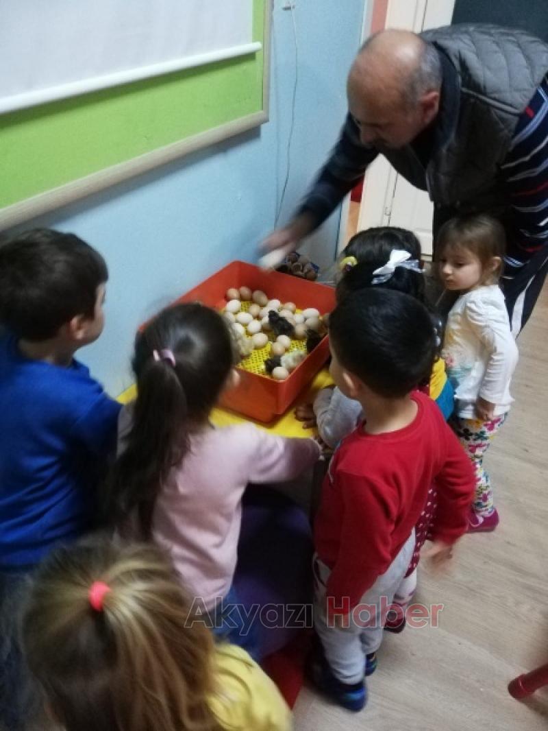  UYGULAMA ANAOKULU YUMURTAM KULUÇKADA PROJESİ