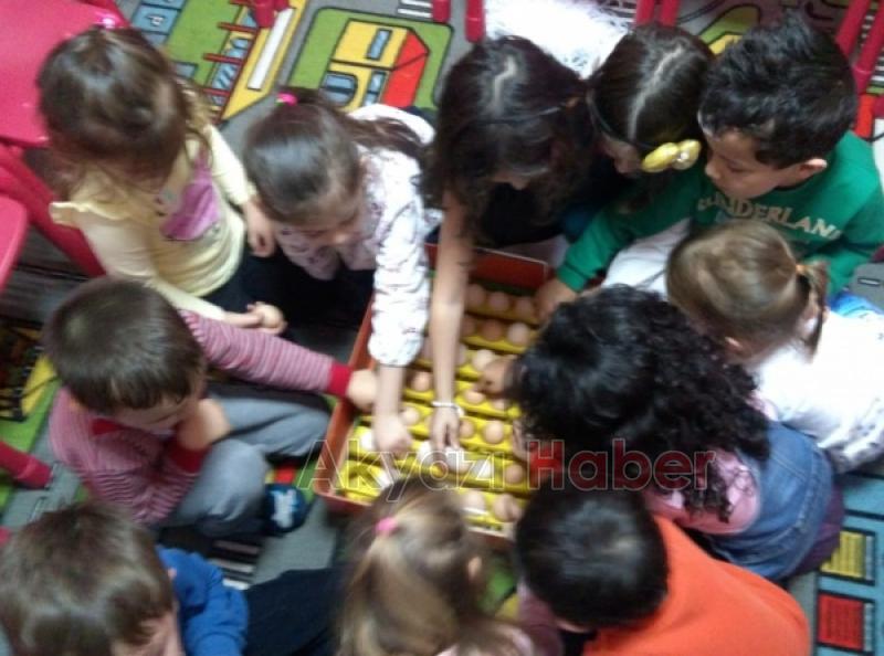  UYGULAMA ANAOKULU YUMURTAM KULUÇKADA PROJESİ