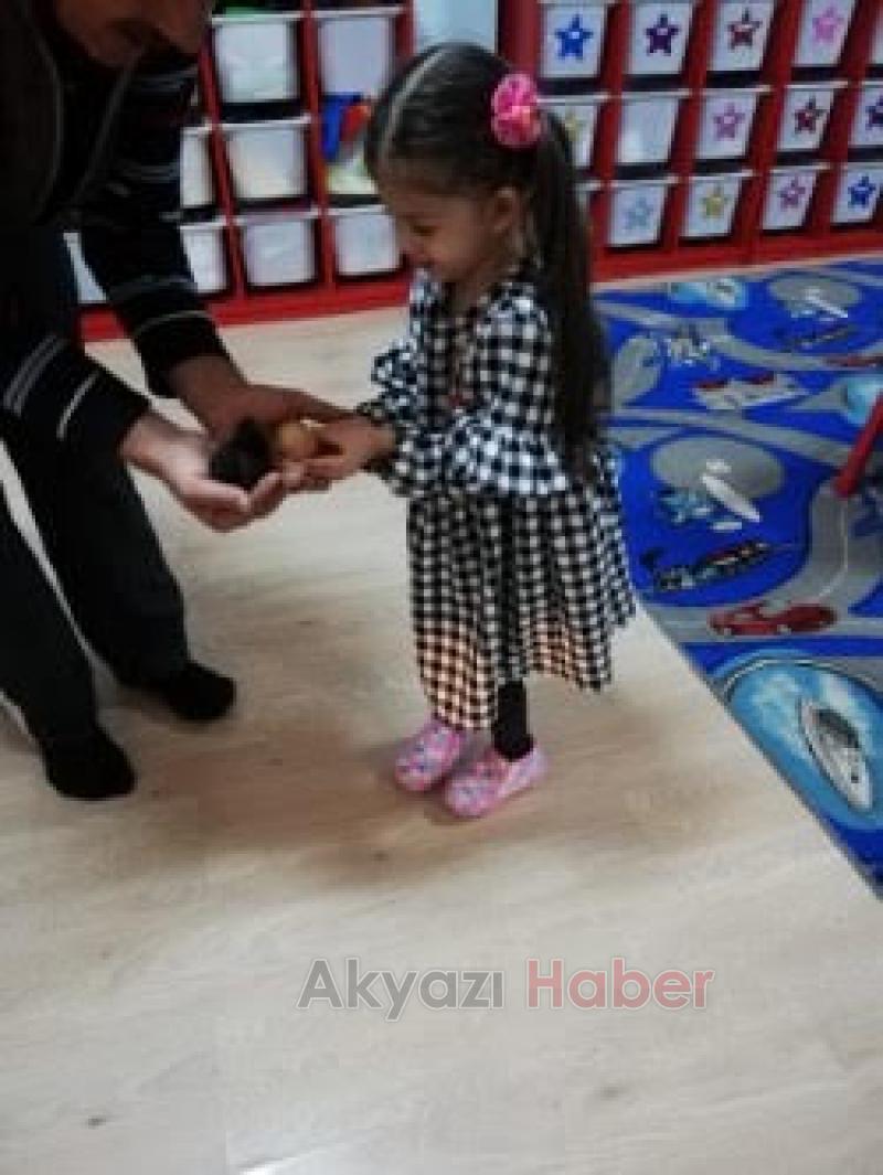  UYGULAMA ANAOKULU YUMURTAM KULUÇKADA PROJESİ