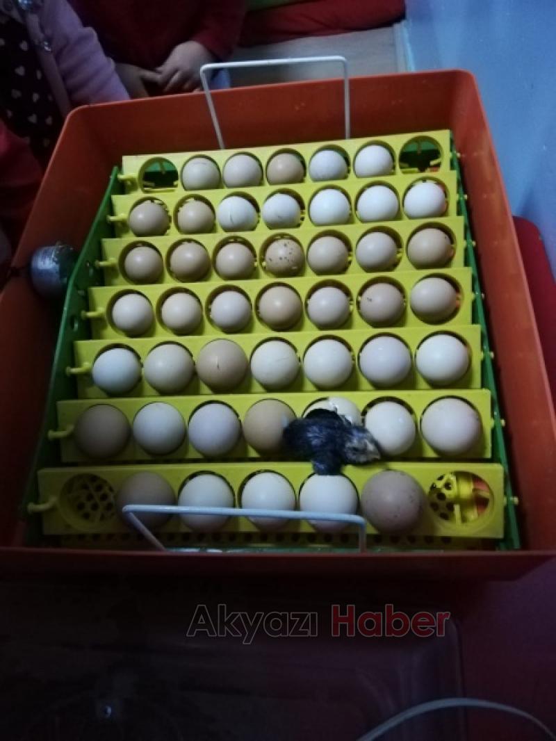  UYGULAMA ANAOKULU YUMURTAM KULUÇKADA PROJESİ