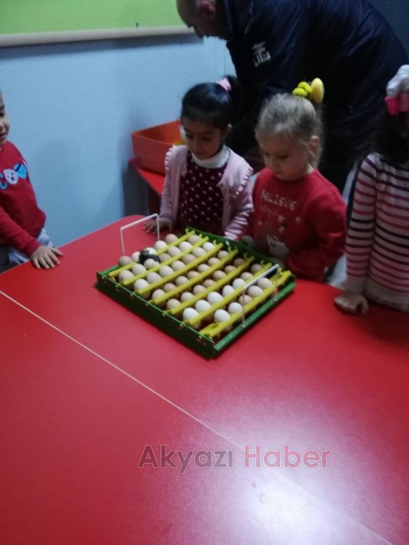  UYGULAMA ANAOKULU YUMURTAM KULUÇKADA PROJESİ