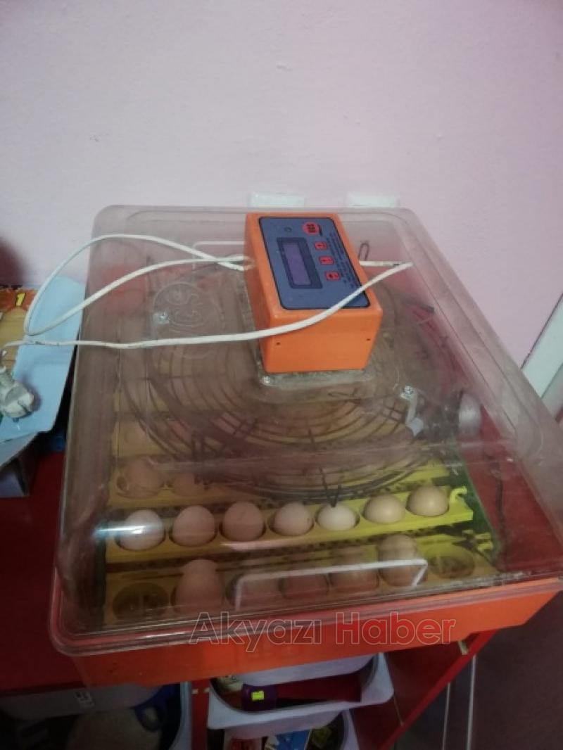  UYGULAMA ANAOKULU YUMURTAM KULUÇKADA PROJESİ