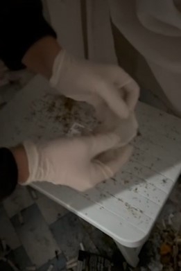 Uyuşturucu operasyonu: 4 gözaltı