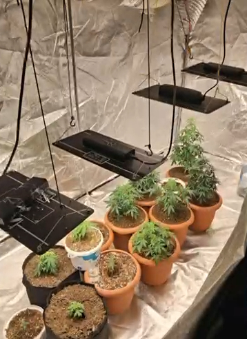 Uyuşturucu serasına çevrilen eve operasyon