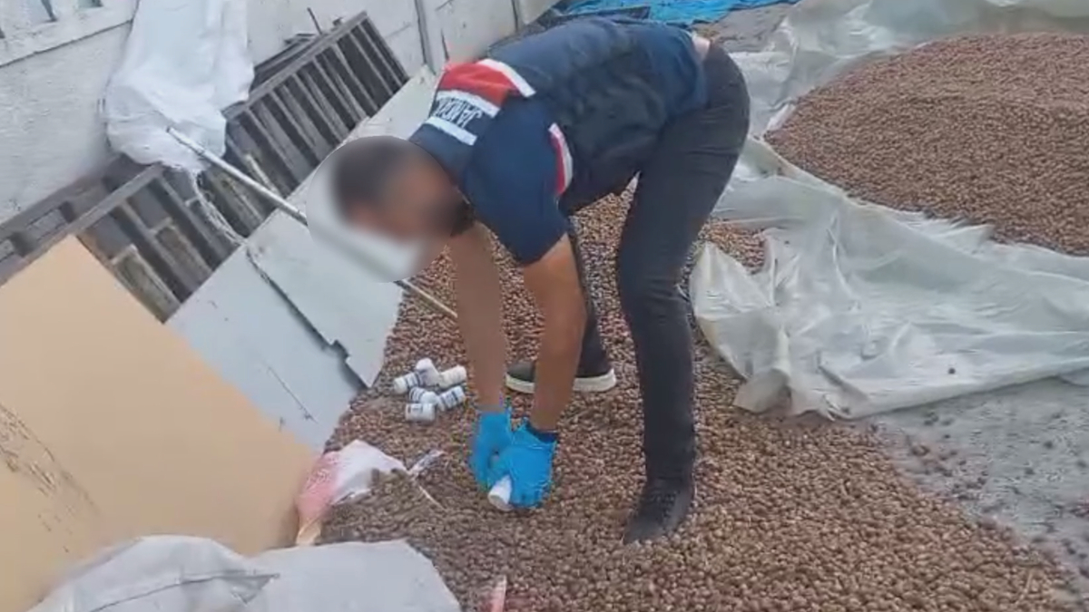 Uyuşturucuyu fındıkların arasına gizlediler