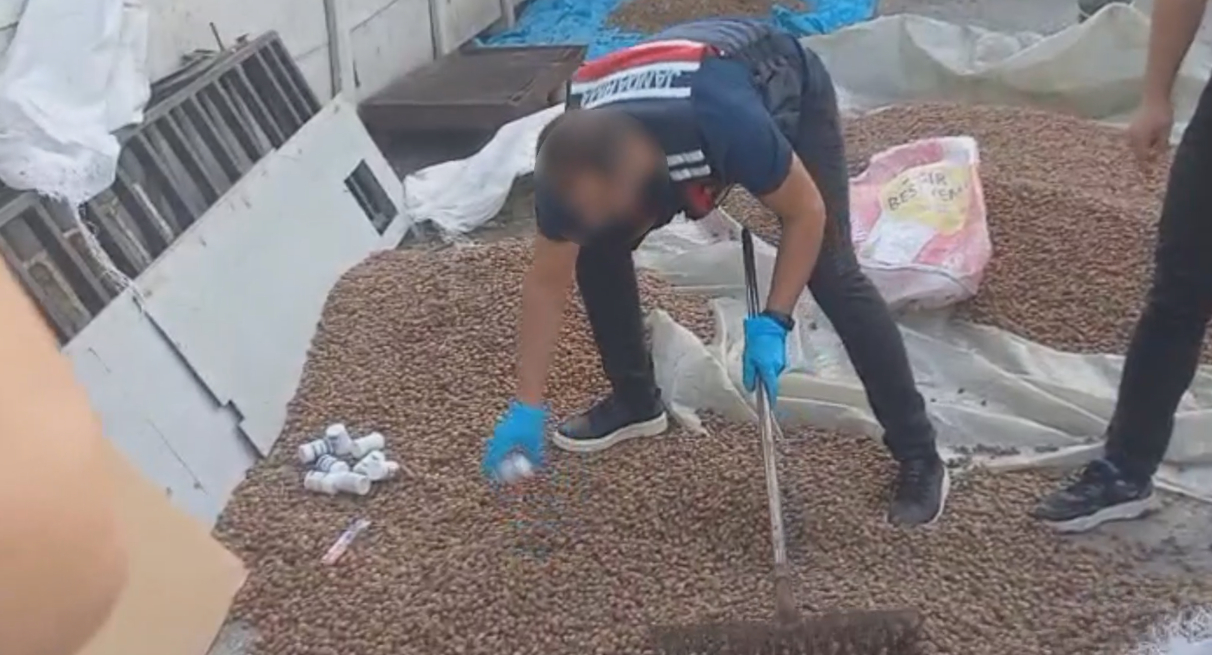 Uyuşturucuyu fındıkların arasına gizlediler