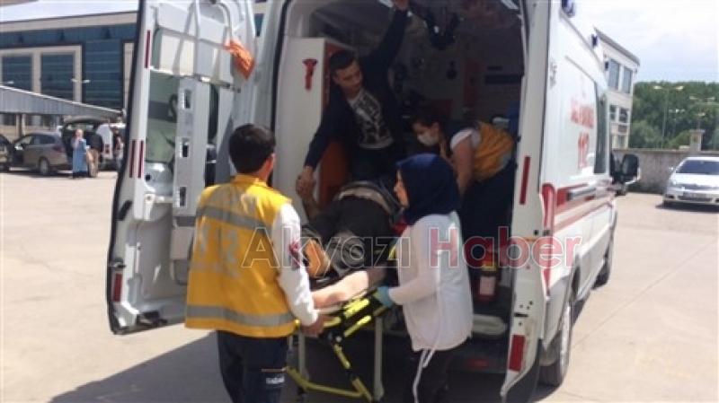 Üzerine Ağaç Düşen Bir Kişi Yaralandı