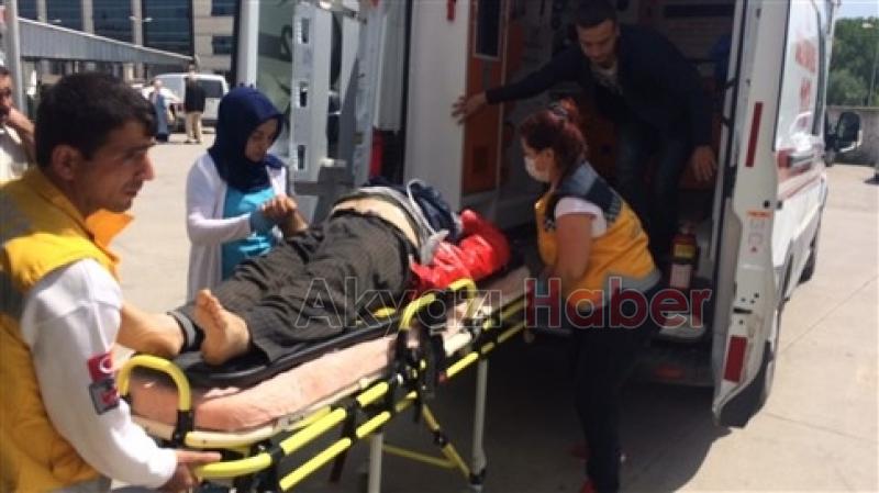 Üzerine Ağaç Düşen Bir Kişi Yaralandı