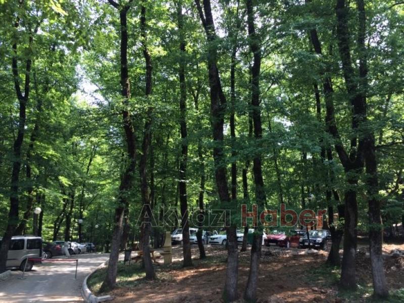 Vatandaş Tabiat Parkta Hizmetin Sefasını Sürüyor