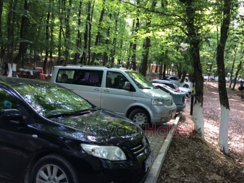 Vatandaş Tabiat Parkta Hizmetin Sefasını Sürüyor