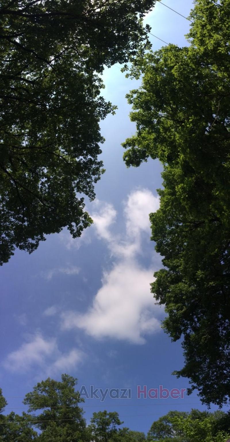 Vatandaş Tabiat Parkta Hizmetin Sefasını Sürüyor