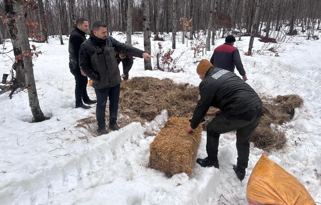 Yaban hayvanları için saman ve yem bıraktılar