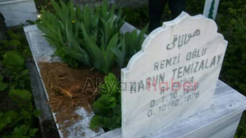 Yabani Hayvanlar Mezarlıklara Dadandı