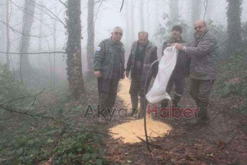 Yabani Hayvanlara Yem Takviyesi