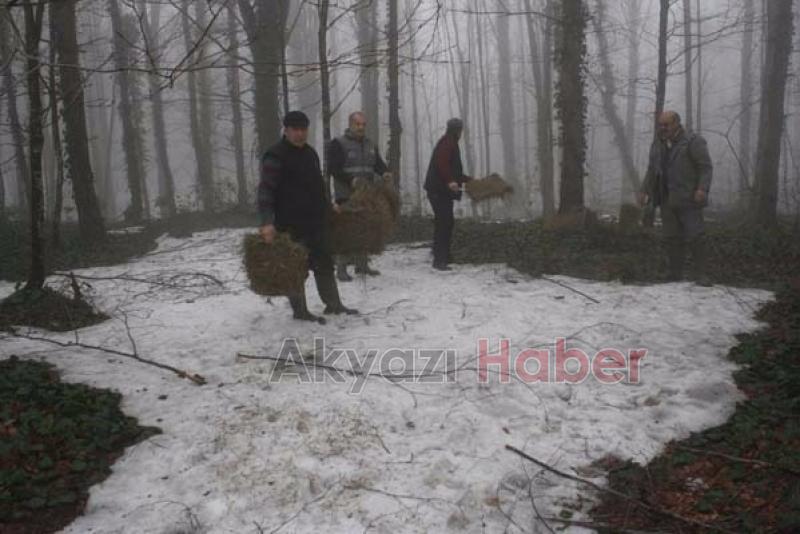 Yabani Hayvanlara Yem Takviyesi