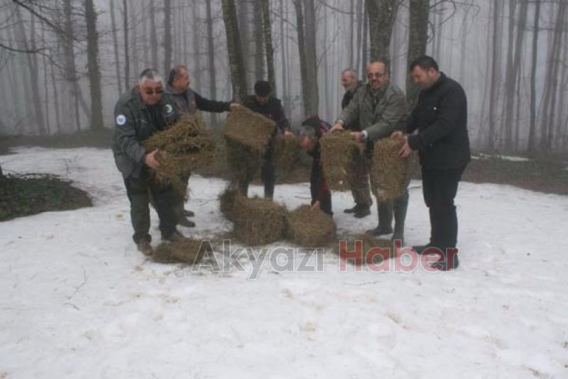 Yabani Hayvanlara Yem Takviyesi