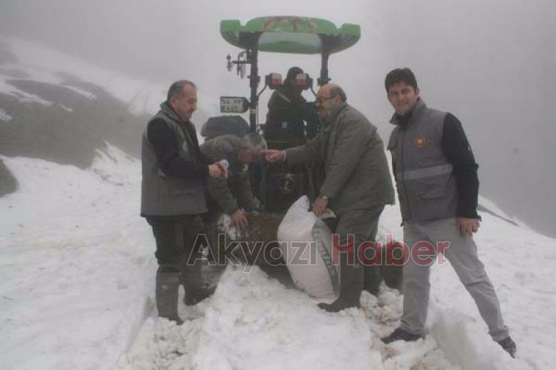 Yabani Hayvanlara Yem Takviyesi