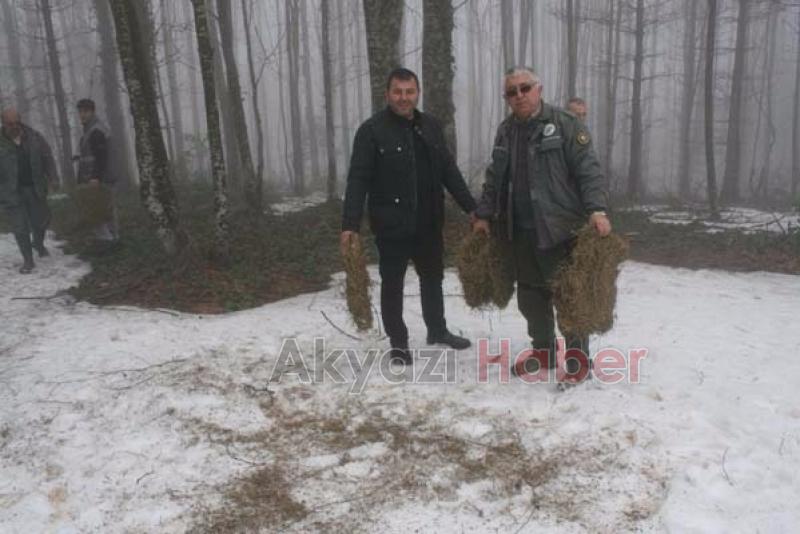 Yabani Hayvanlara Yem Takviyesi