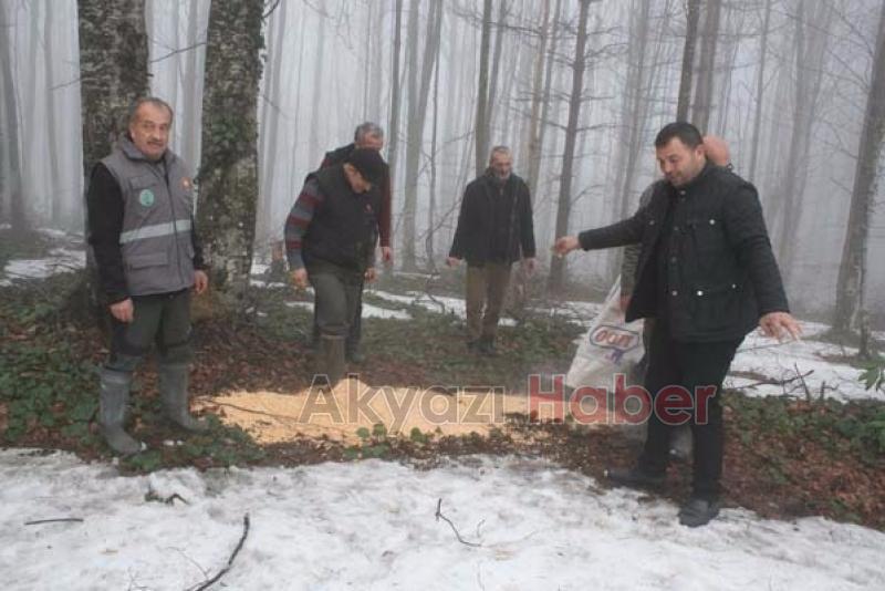 Yabani Hayvanlara Yem Takviyesi
