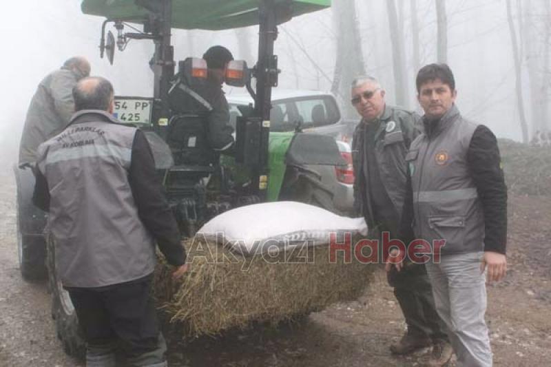 Yabani Hayvanlara Yem Takviyesi