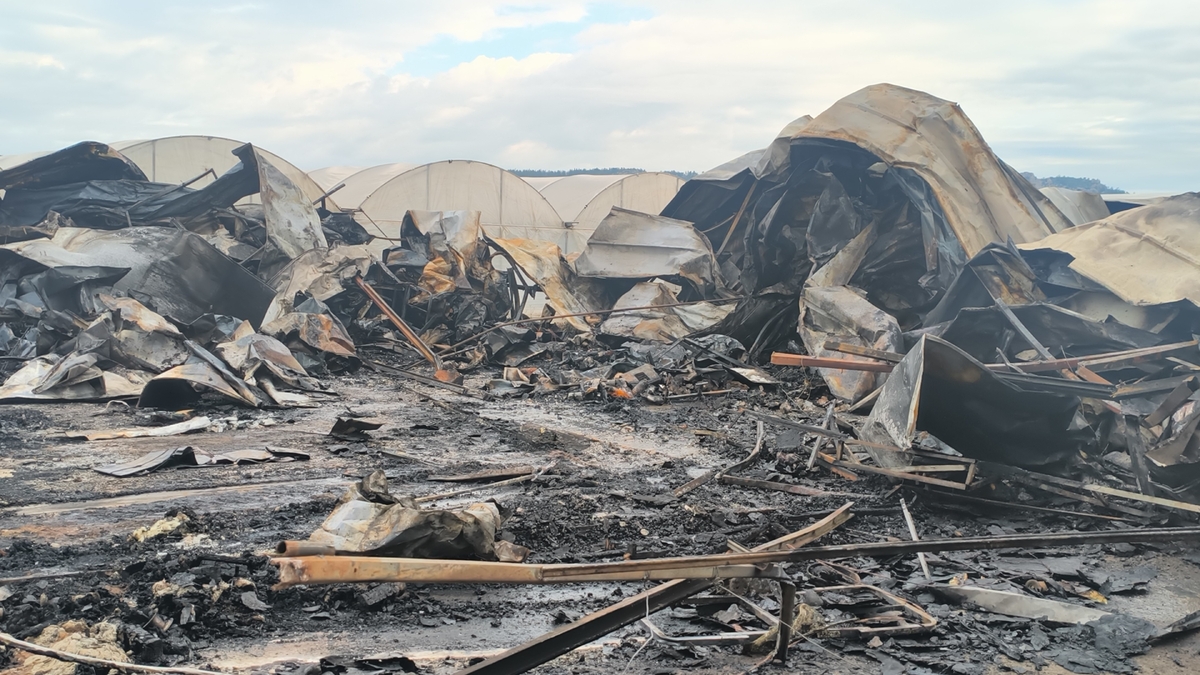 Yangın faciası hamile kadın ve 5 çocuğu öldü