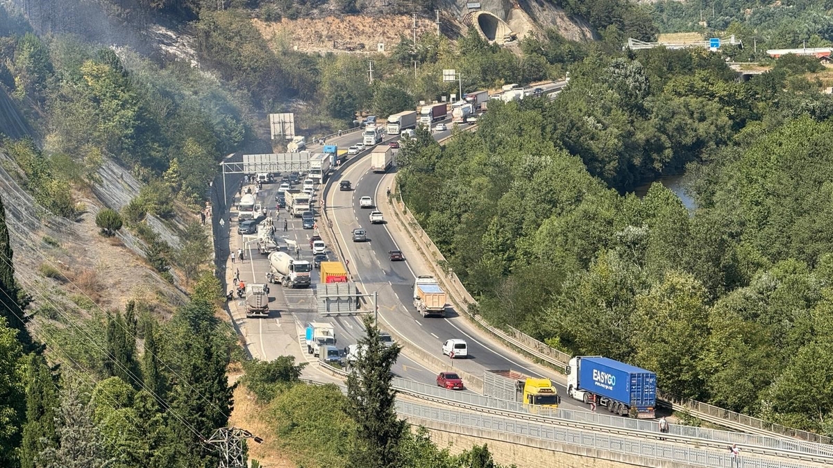Yangın nedeniyle kapatılan D-650 karayolu ulaşıma açıldı