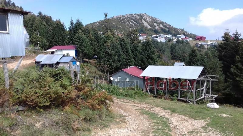 Yanık Yaylası'nda rezillik