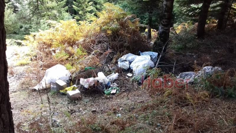 Yanık Yaylası'nda rezillik