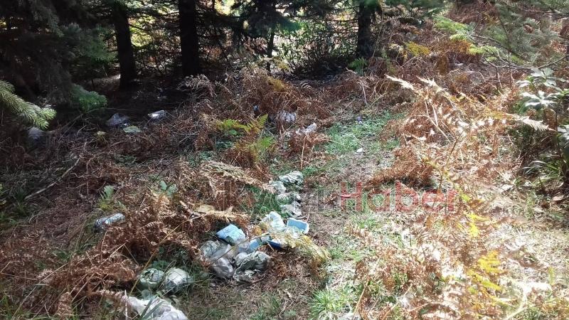 Yanık Yaylası'nda rezillik