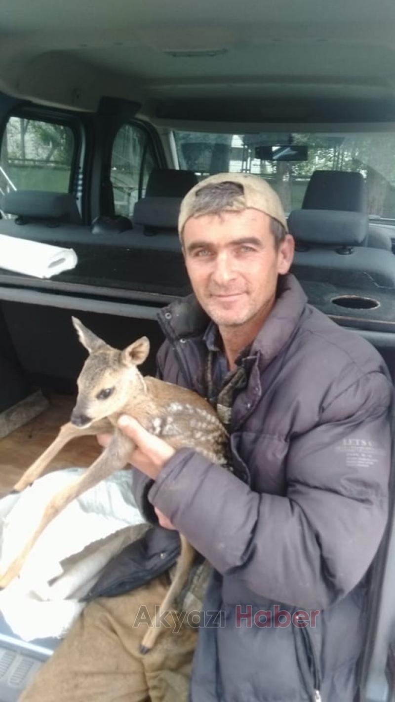 Yaralı Bulunan Ceylan Koruma Altına Alındı