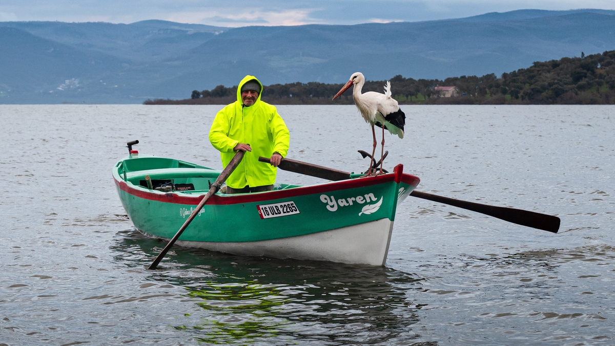 Yaren leylek bu yıl erken geldi