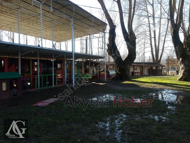 Yatırımlık Mükemmel Devren Satılık Tesis ve Alan 