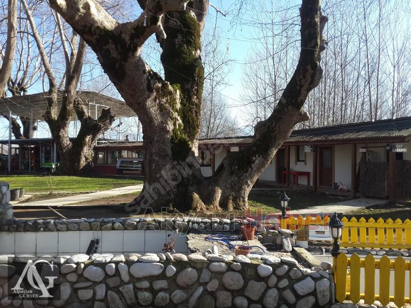 Yatırımlık Mükemmel Devren Satılık Tesis ve Alan 