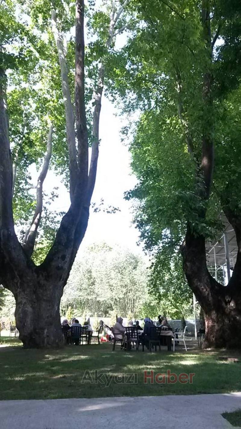 Yatırımlık Mükemmel Devren Satılık Tesis ve Alan 