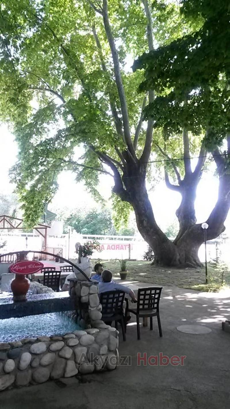 Yatırımlık Mükemmel Devren Satılık Tesis ve Alan 